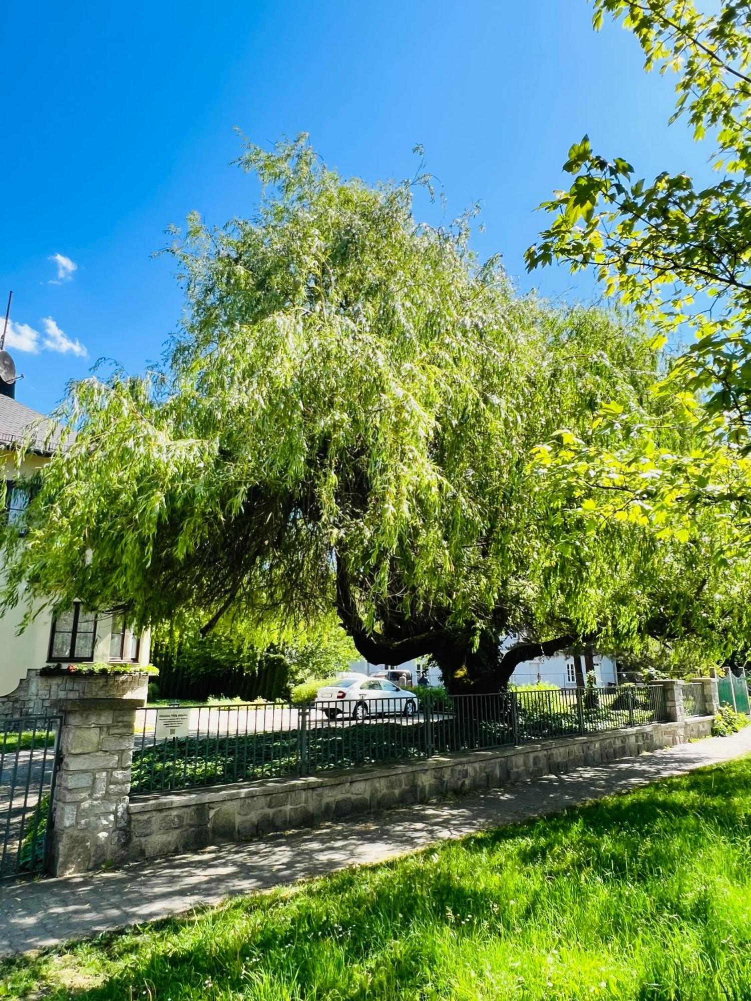 Penzion Villa Ancora Šumperk 외부 사진