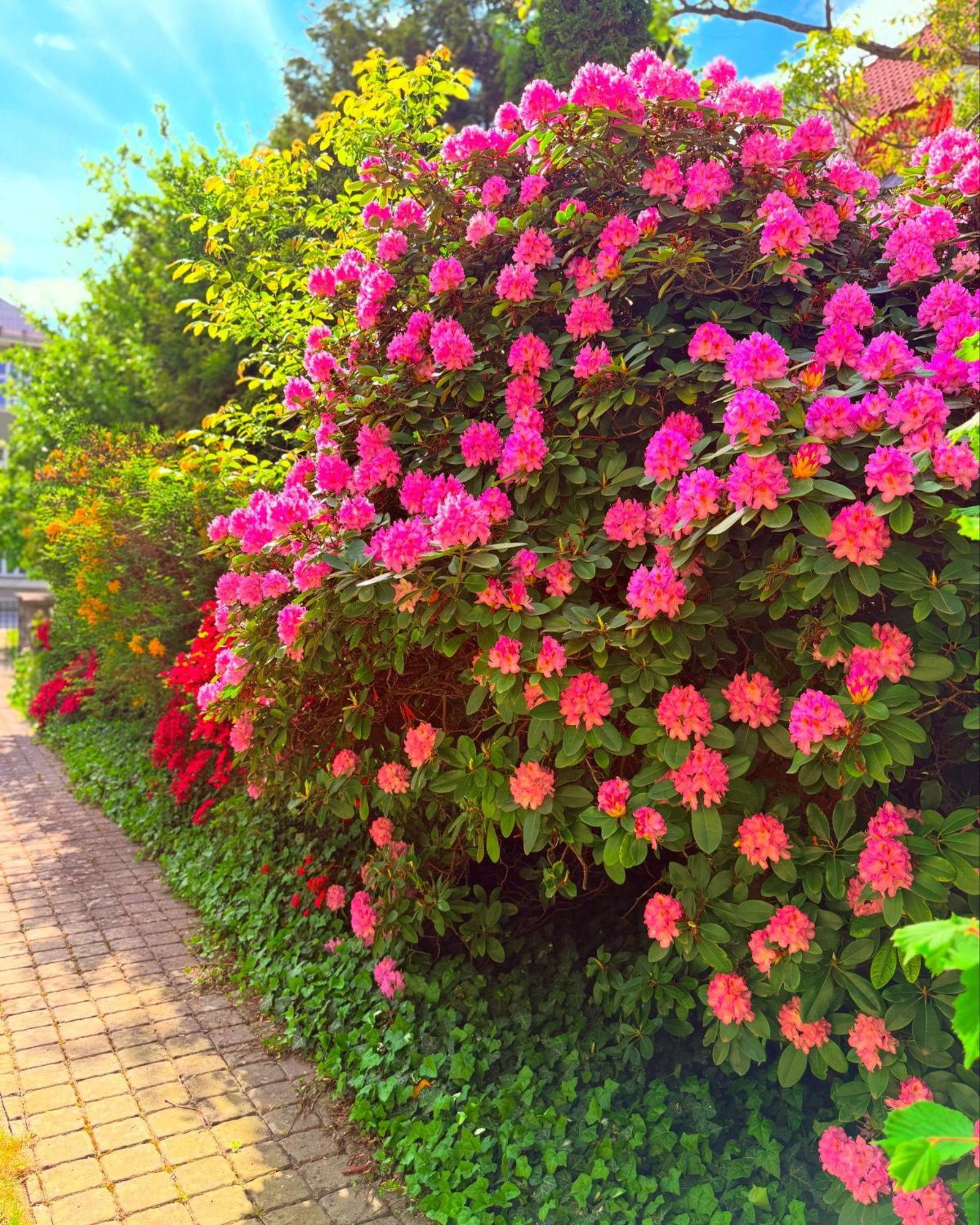 Penzion Villa Ancora Šumperk 외부 사진